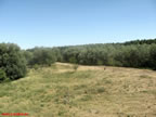 Catre plaja-2.jpg (103kb)